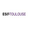 école Ecole supérieure de gestion, commerce et finance - Toulouse