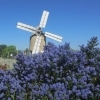 affiche Découvrez ce moulin à vent admirablement restauré - Journées du Patrimoine 2022